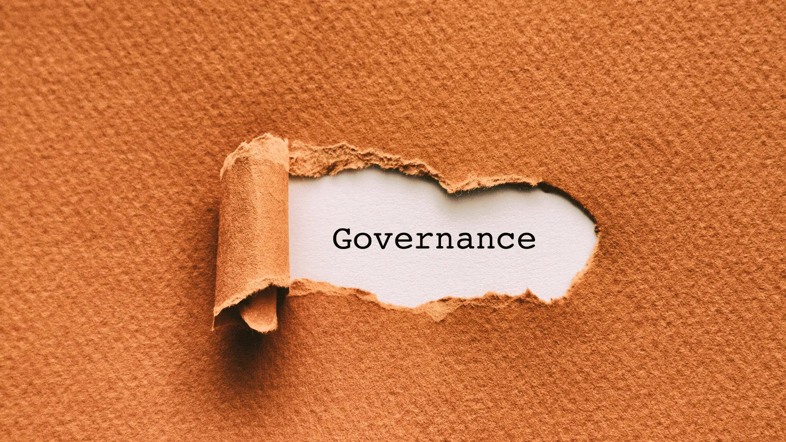 AI Ekonomisi kapak — governance